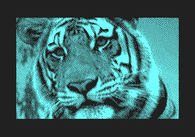 Tiger-001.png