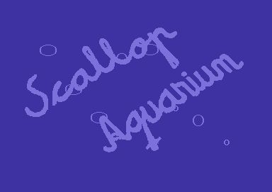 scallop-aquarium001.jpg
