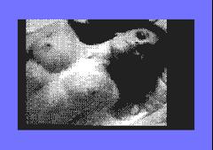 Three Nudes