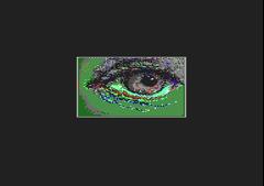 The Eyes