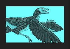 Archaeopteryx