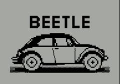 Beetle