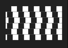 Checkboard