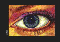 Eye