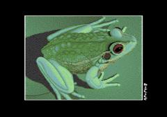 Frogger 64