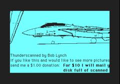 F-14 Aircraft