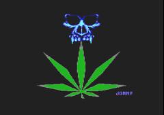 Skull & Drugs