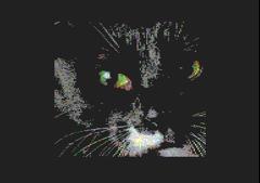 Kater