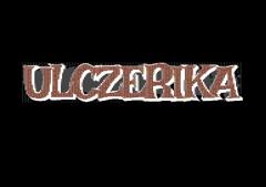 Ulcz Erika Diashow 