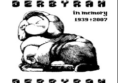 DerbyRam-In Memory