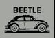 Beetle