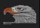 Eaglesoft or..