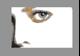 Look