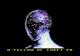 Neural Consciousness