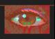 Blood-Eye-Vision